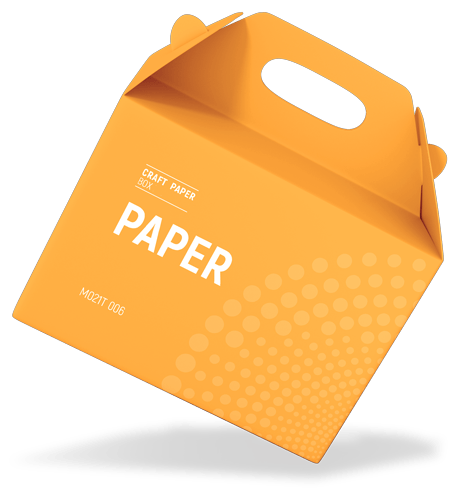 craft paper box packaging