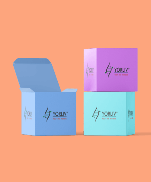yorliv boxes
