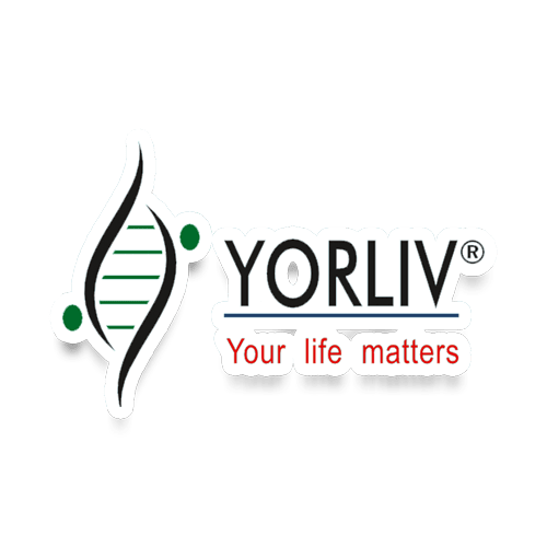 yorliv logo